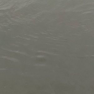 Meet your Posher, Lilly